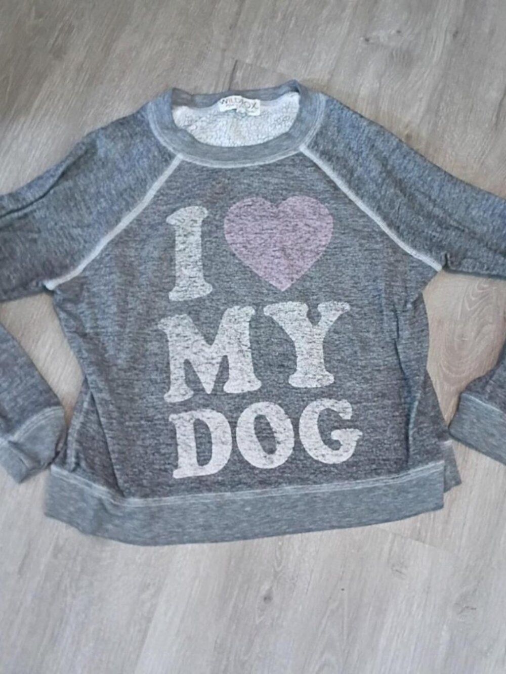 Wildfox "I Love My Dog" Sweatshirt